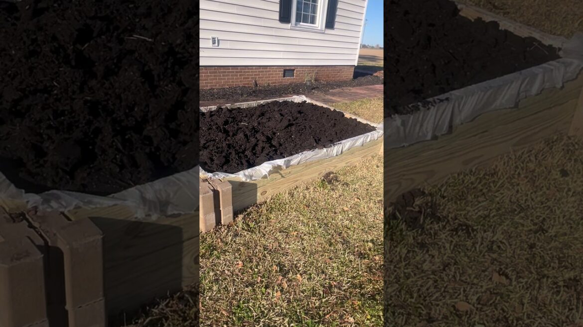 DIY easy raised garden bed! #diy #gardening #vegetables