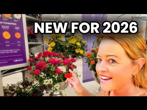 California Spring Trials~ NEW plants for 2026 California Spring Trials~ NEW plants for 2026