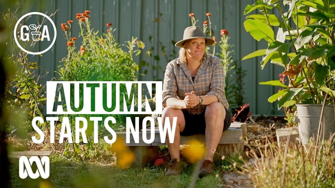 Autumn Jobs to Start Now | Gardening 101 | Gardening Australia