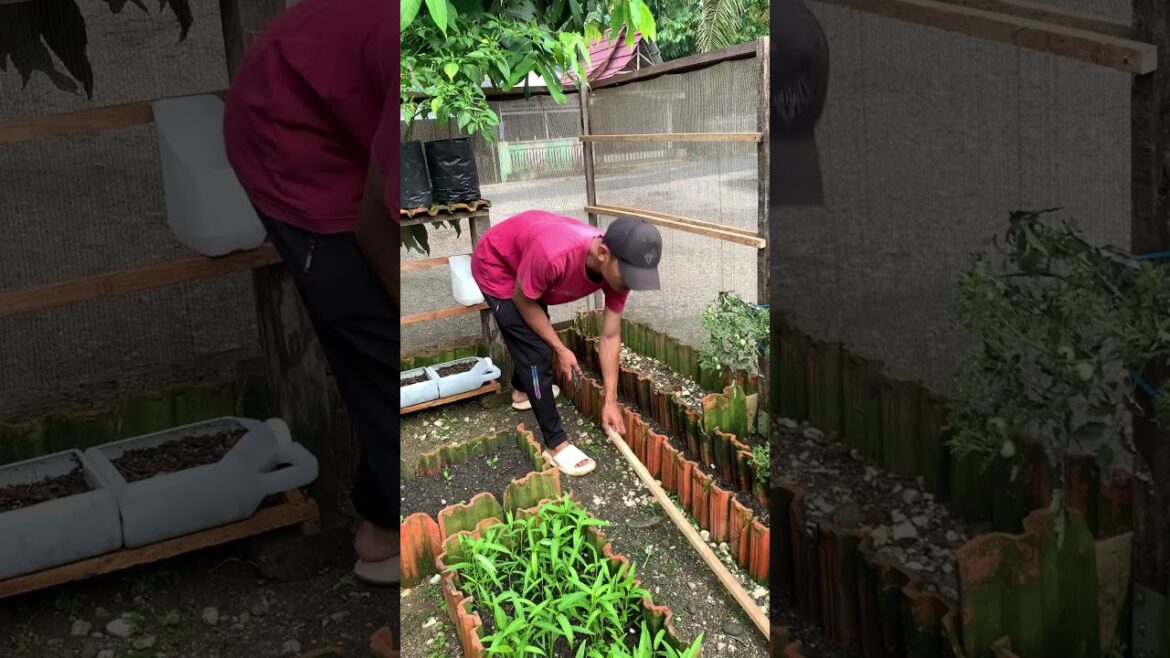 Grow More in Less Space: Smart Vegetable Gardening Tips for Small Areas #gardening