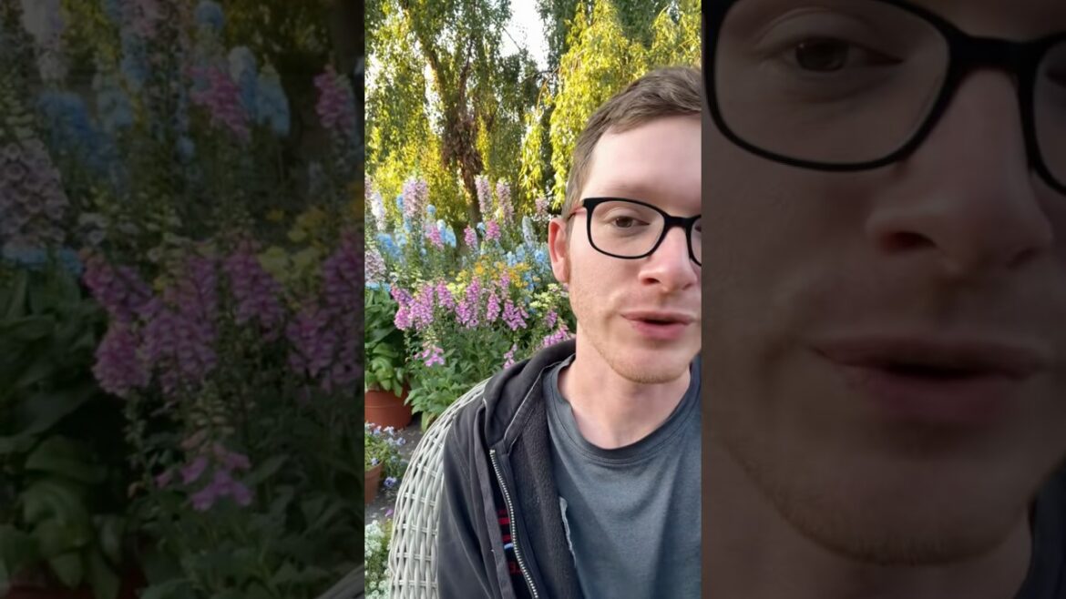 How I space my container garden