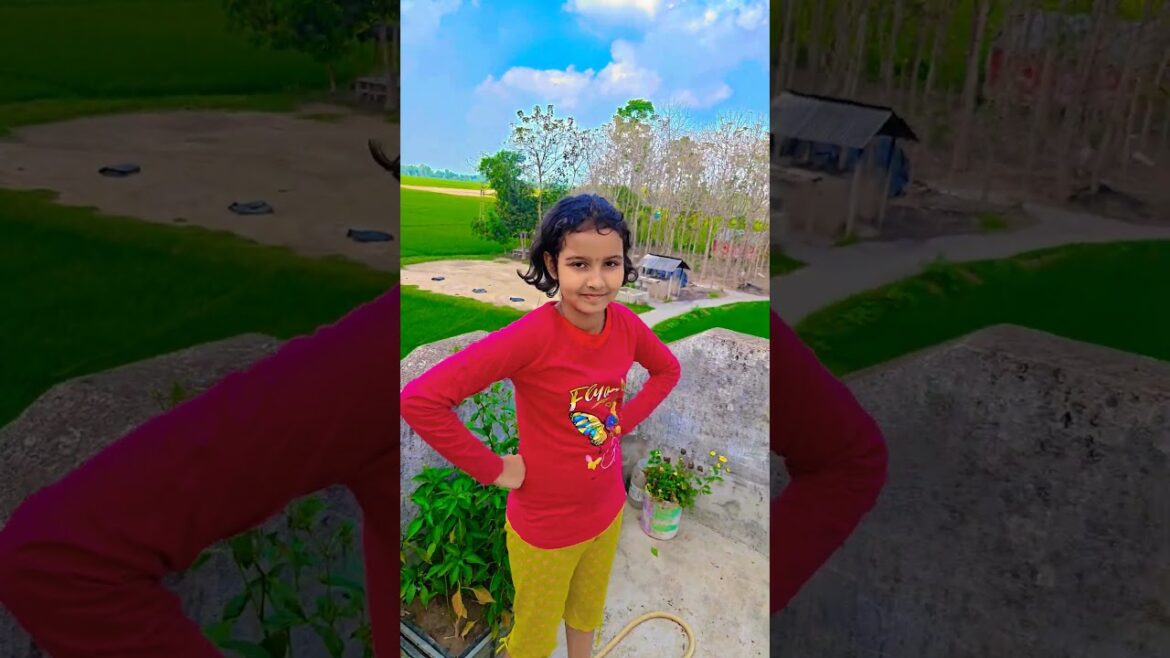 ছাদবাগানে গ্রীষ্মের কিছু গাছ #garden #gardening #flowers #nursery #UpdateGardening #chadbagan