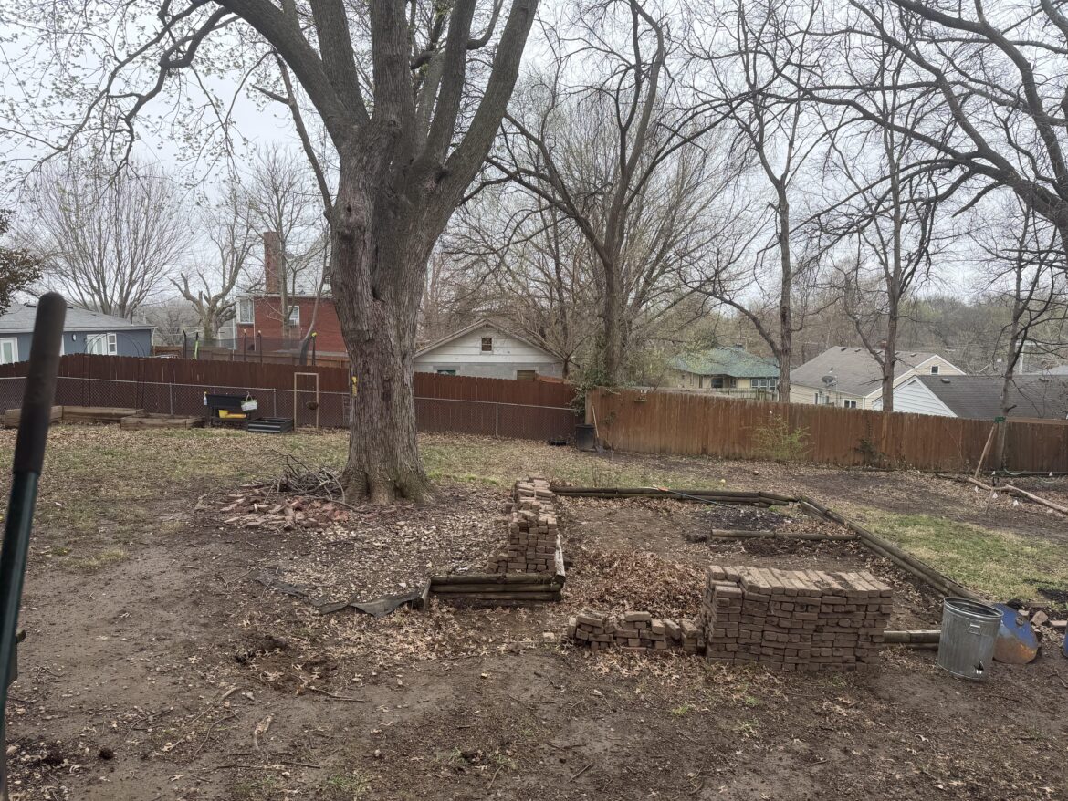 Looking for ideas on my backyard space Looking for ideas on my backyard space