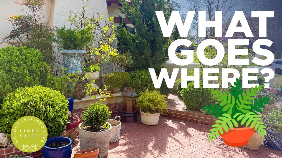 How to Decide What Containers Go Where in Your Garden | Tips for Placing Pots & Focal Points 🌿