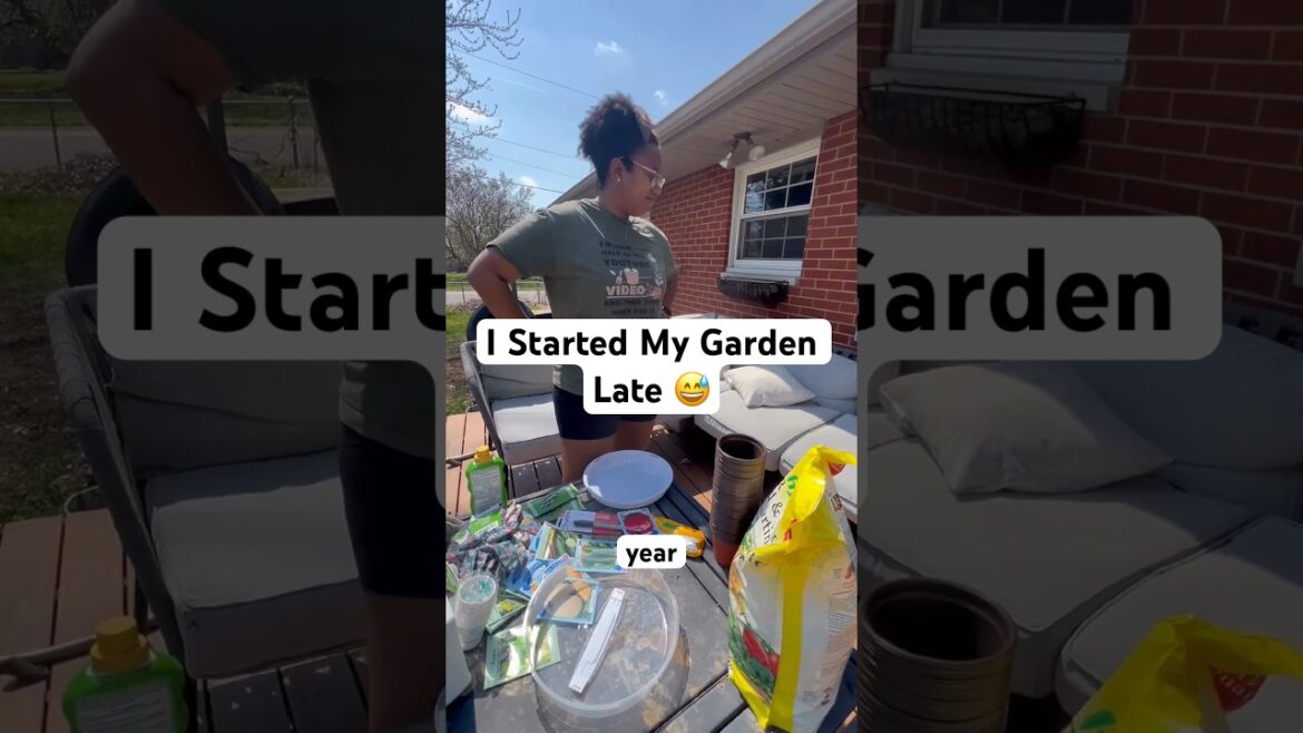 Late to gardening season…but we are doing it anyway 🌱😂 Mom life had other plans #springgardening Late to gardening season…but we are doing it anyway 🌱😂 Mom life had other plans #springgardening