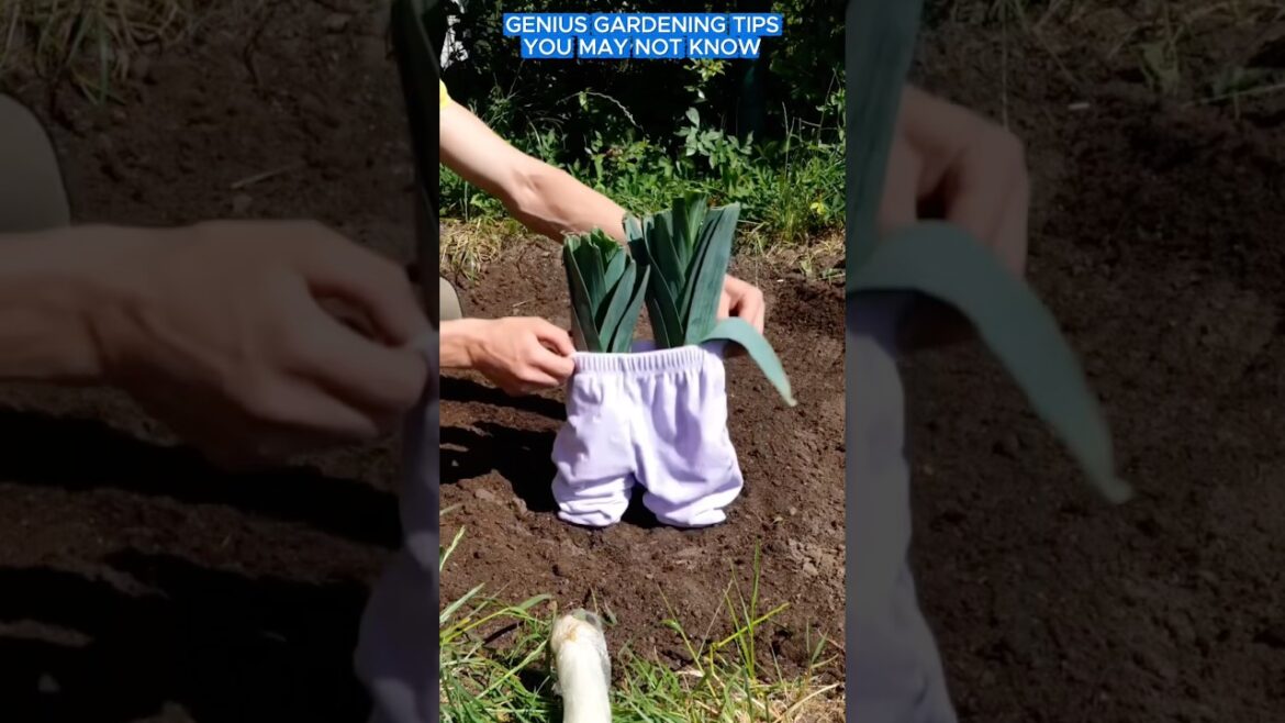 Genius gardening tips you may not know #gardentips #tips #adamrose
