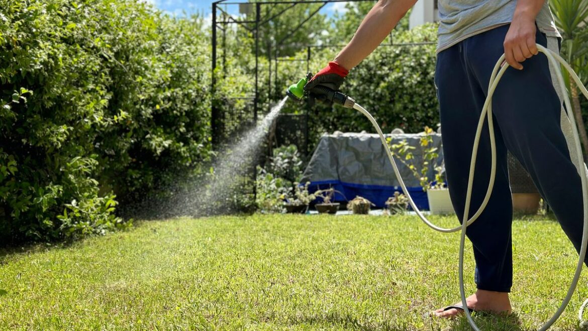 Essential gardening tasks to do this April for greener and healthier grass Devon Live