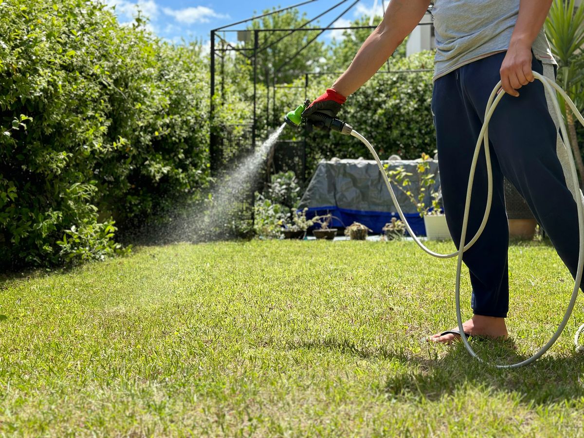 Man watering his garden with a hose in a sunny day.