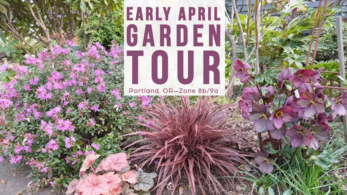 Early April Garden Walkabout — NE Portland, Zone 8b Early April Garden Walkabout — NE Portland, Zone 8b