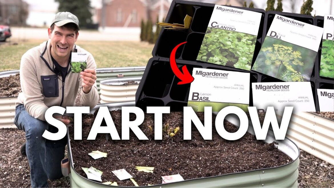 HUGE List of Seeds to Start Right Now in APRIL!