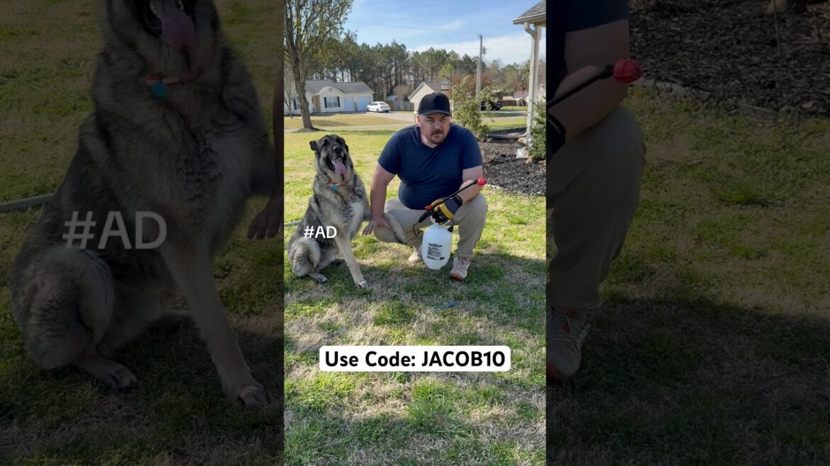 Let’s get our yard back under control with @bdcbrands Use code: JACOB10 #DIY #Lifehack #satisfying