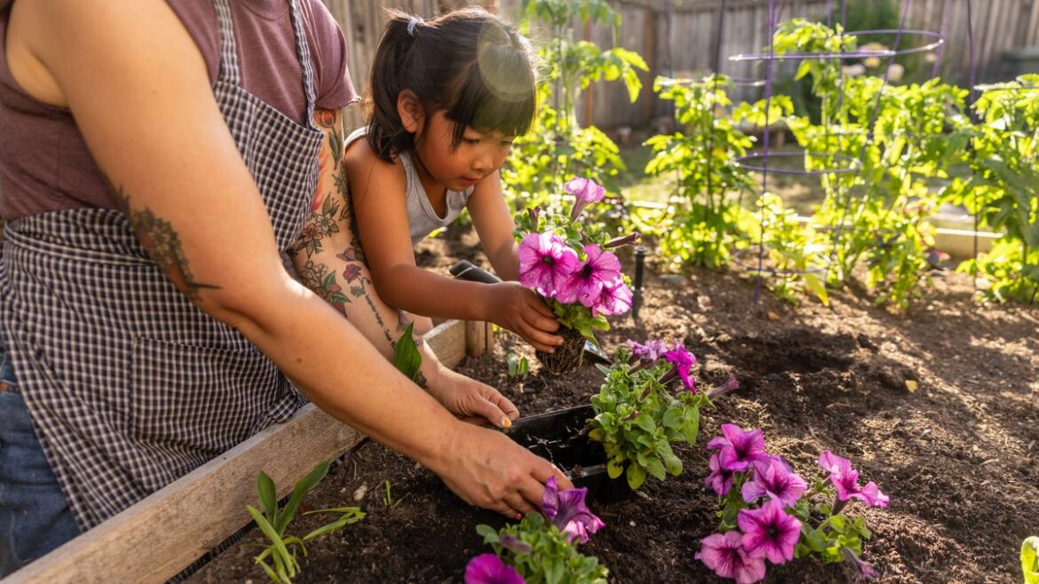 Alan Titchmarsh says gardeners must do one easy task before planting new flowers Devon Live