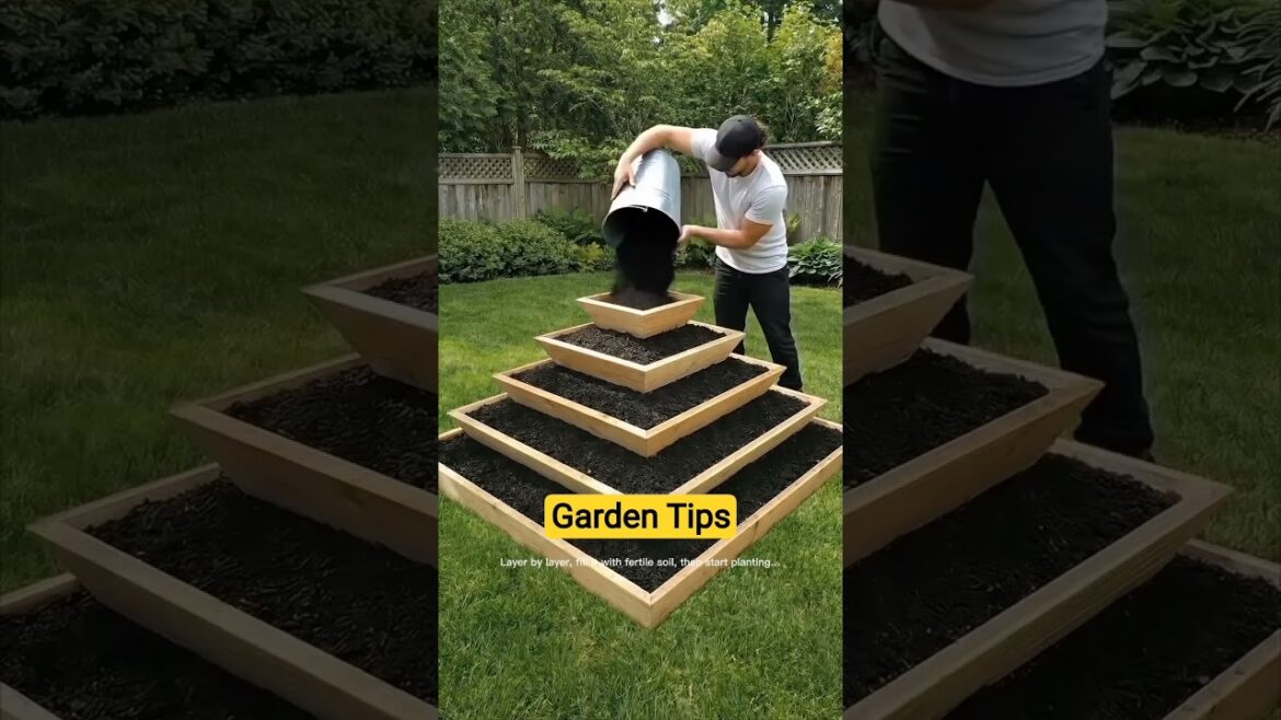 Garden Tips #foreignersreallyknowhowtoha #outdoorgourmet#gardeningshouldlooklikegard #growvegetables