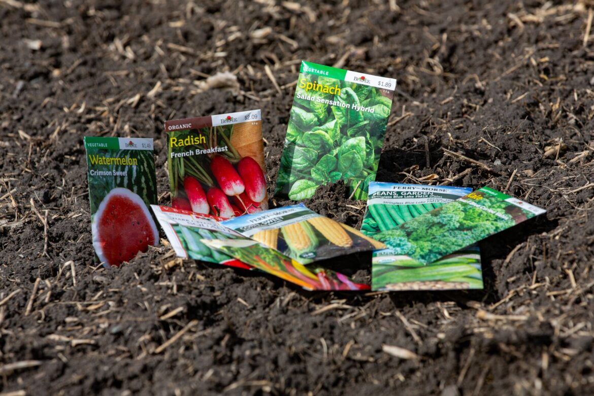 Soil temperature holds the key to spring gardening - InForum