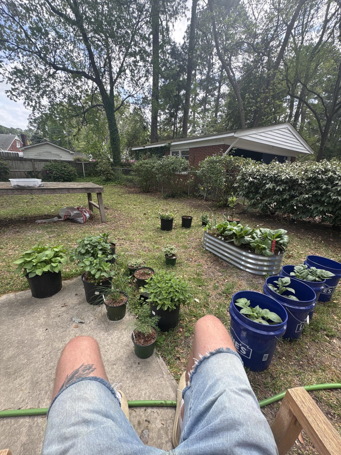 Beautiful Day Beautiful View