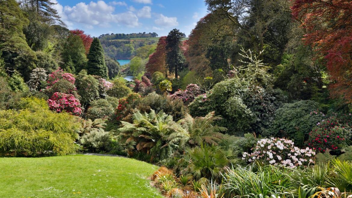 Cornwall Live