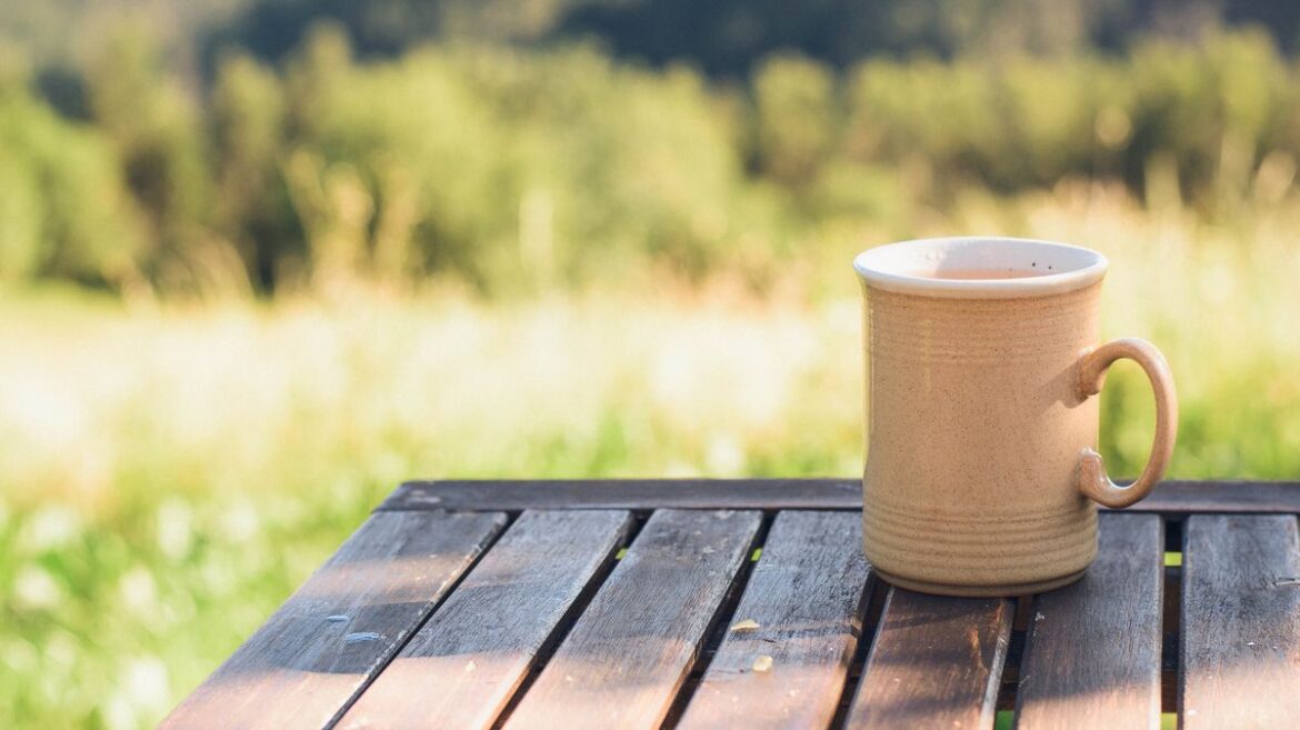 Households urged to hang old mugs and teacups on garden fences this month Irish Mirror