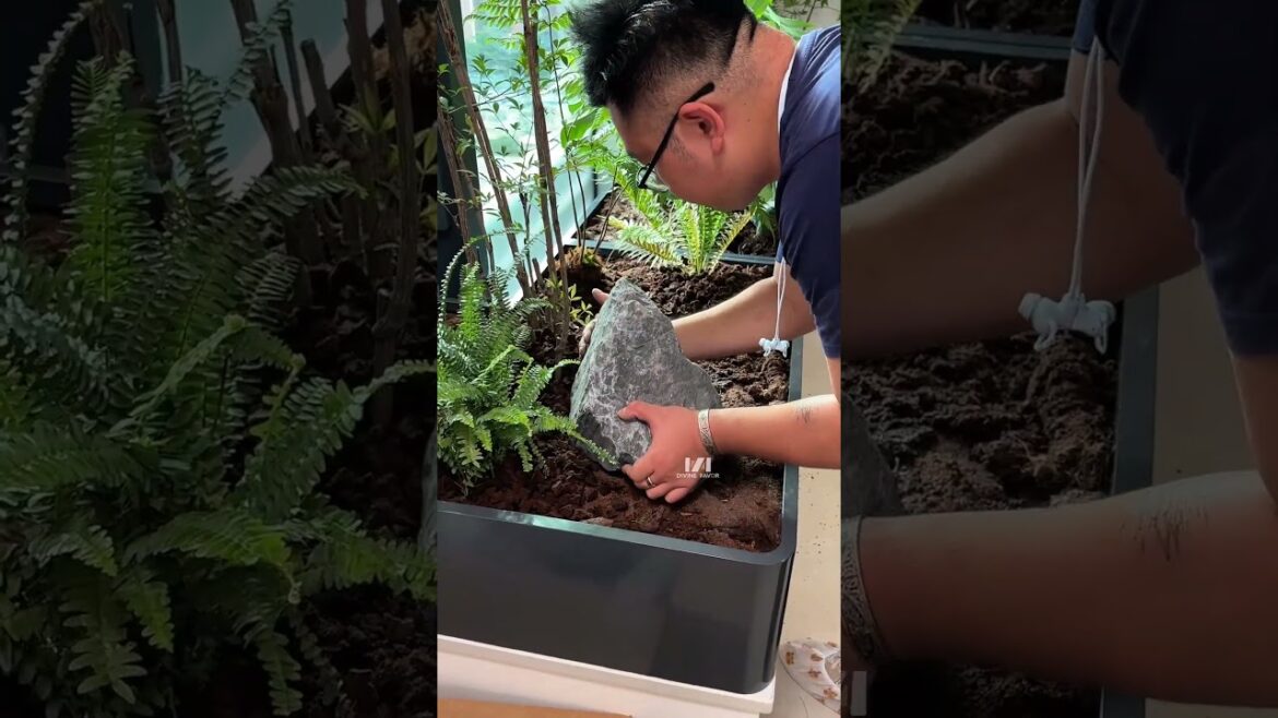 Spend 2 hours creating a Zen inspired landscape on your bay window #SpaceDesign #gardendesign #gard Spend 2 hours creating a Zen inspired landscape on your bay window #SpaceDesign #gardendesign #gard