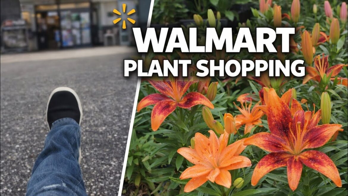 Sad Visit to Tractor Supply… So I Tried Walmart