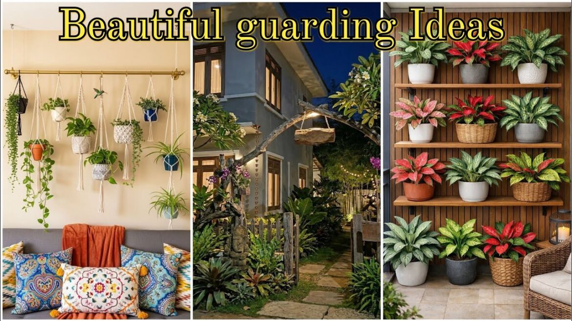 Modern garden delight || Garden Design Ideas 🌸 | Beautiful Home Garden Inspiration Modern garden delight || Garden Design Ideas 🌸 | Beautiful Home Garden Inspiration