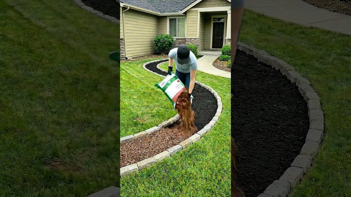 From Grass to Glowing Garden | Front Yard Garden Makeover #GardenMakeover #GardenDesign #lawncare From Grass to Glowing Garden | Front Yard Garden Makeover #GardenMakeover #GardenDesign #lawncare