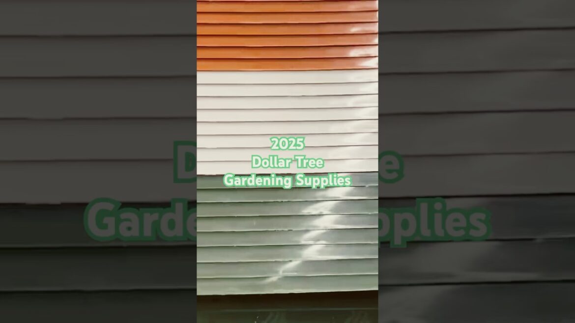 2025 Dollar Tree Gardening Supplies| Dollar Tree Rectangular Planters #dollartree  #shopwithme #shop