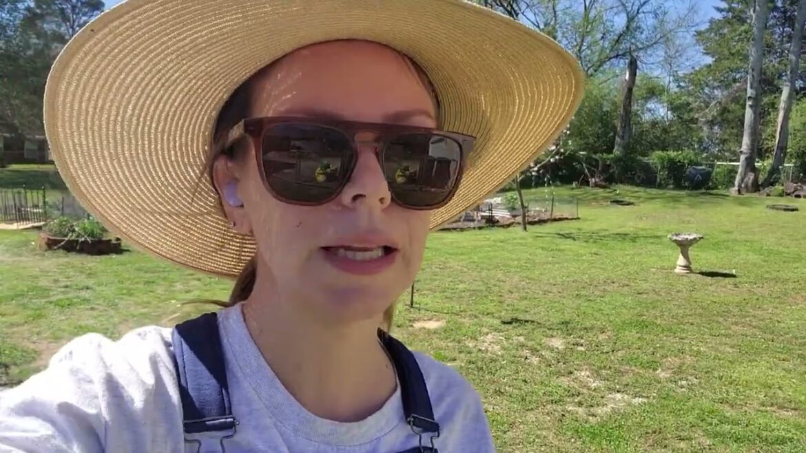 The Edible Landscape Saga Begins! [Officially]