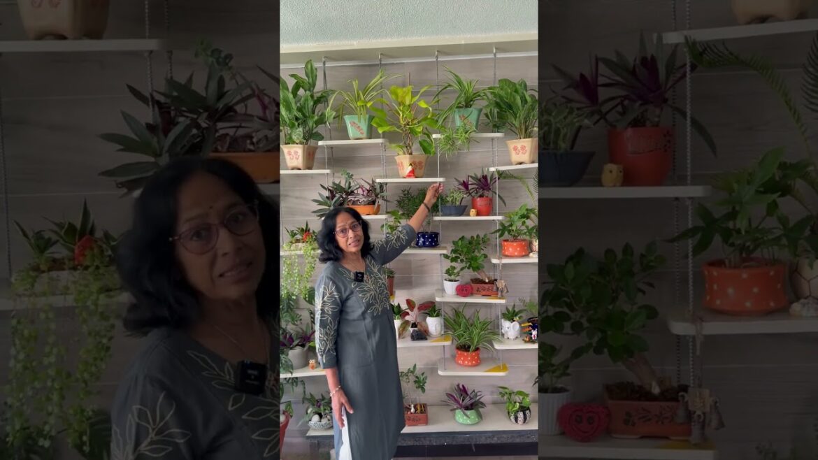 DIY Plant Swing Idea 🌱 | Turn Waste Ply into Beautiful Garden Decor#plantcaretips DIY Plant Swing Idea 🌱 | Turn Waste Ply into Beautiful Garden Decor#plantcaretips