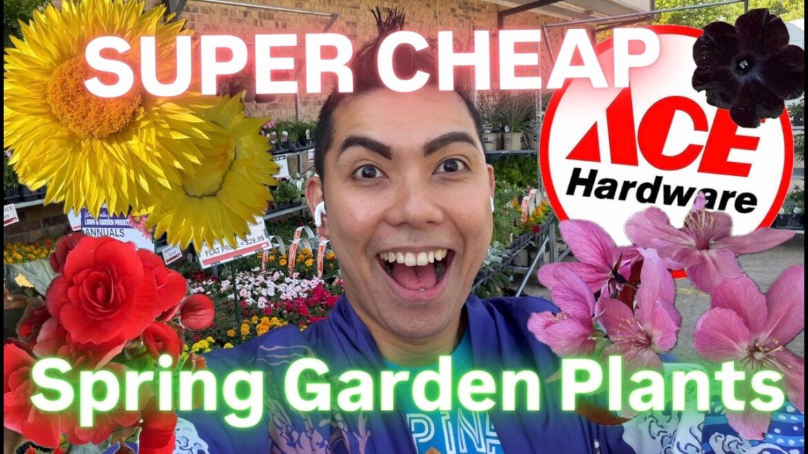 Better Plants for LESS? My Secret Spring 2026 Garden Hack Big Box Store Plant Shopping Alternative Better Plants for LESS? My Secret Spring 2026 Garden Hack Big Box Store Plant Shopping Alternative
