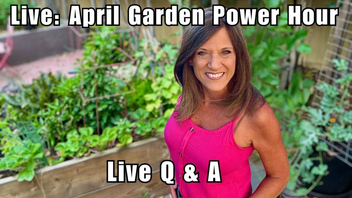 CaliKim: LIVE: April Garden Power Hour — Q&A LIVE: April Garden Power Hour — Q&A