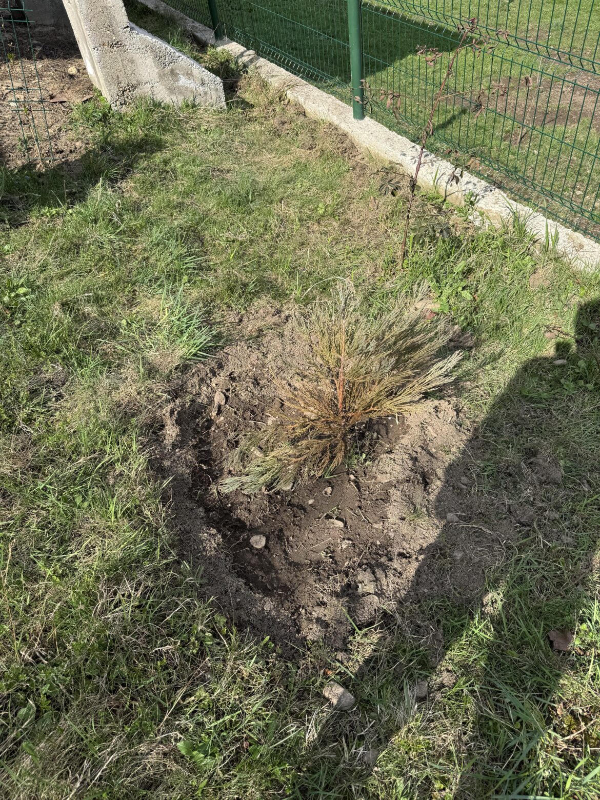 Sequoia followup and feedback request