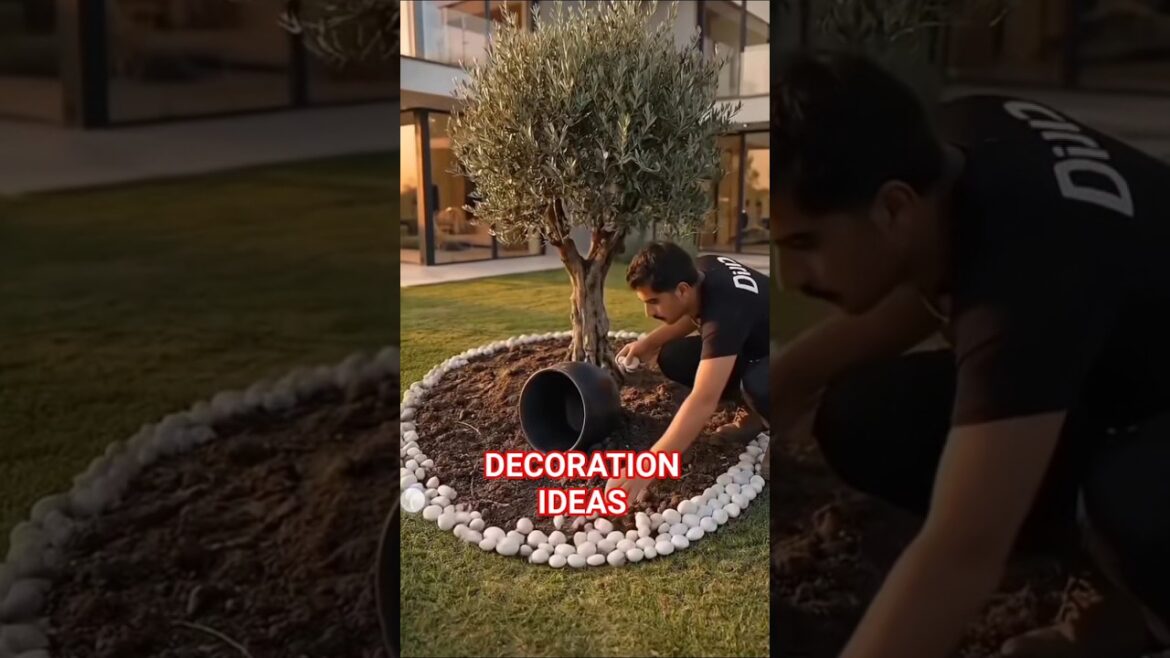 decoration ideas garden plant shorts viral trends #trending #shortsfeed #youtubeshorts #shortsvideo