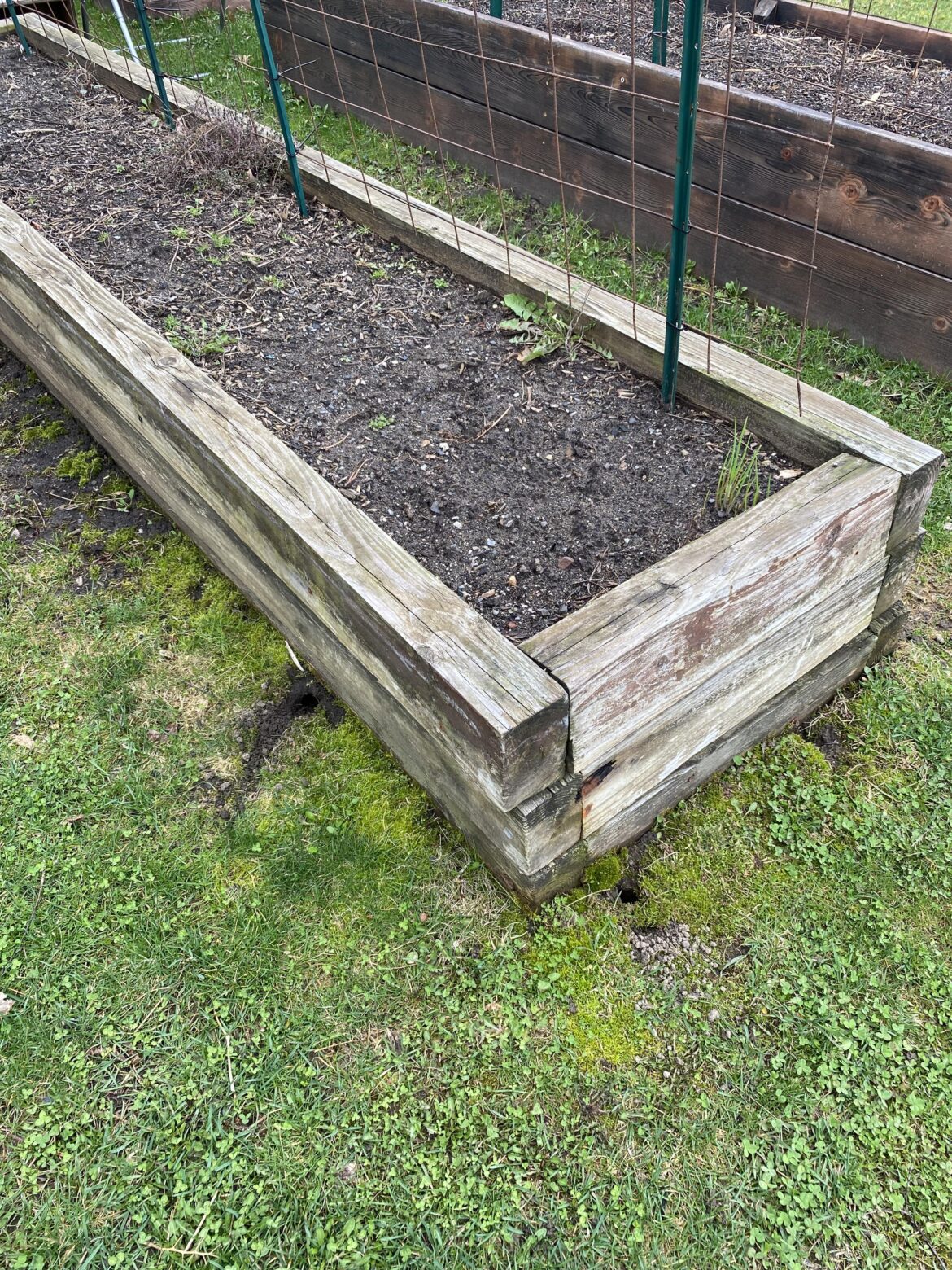 What's living under my garden bed?