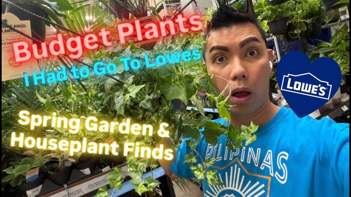 LOWE’S PLANT REVEAL! New Plants for Spring 2026 Budget Friendly and Easy Care Plants Big Box Store LOWE'S PLANT REVEAL! New Plants for Spring 2026 Budget Friendly and Easy Care Plants Big Box Store