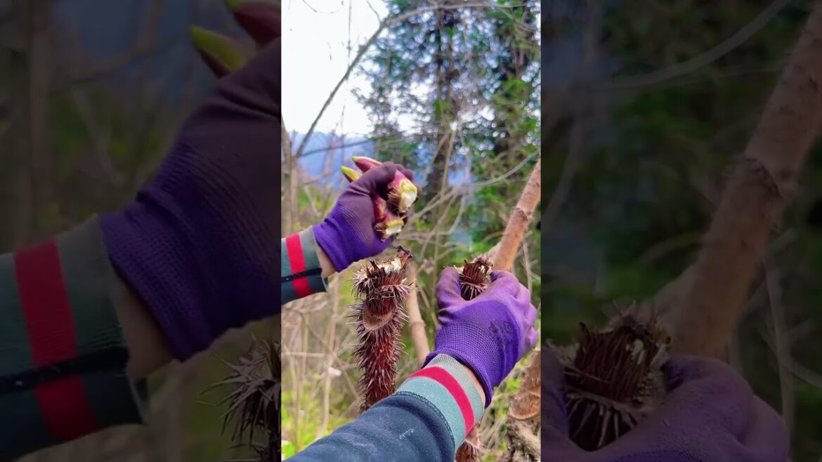 #asmr #satisfying #vegetable  #smartfarming #nature