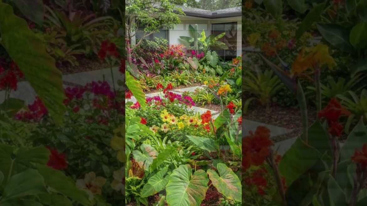 Transform Your Front Yard into a Tropical Paradise! 🌴✨ #GardenGoals Transform Your Front Yard into a Tropical Paradise! 🌴✨ #GardenGoals
