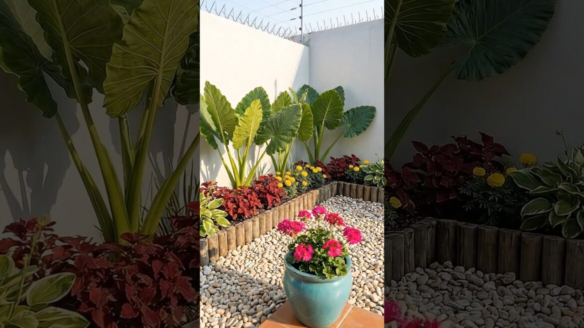 Minimalist Tropical Garden 🌿 | Clean Backyard Design