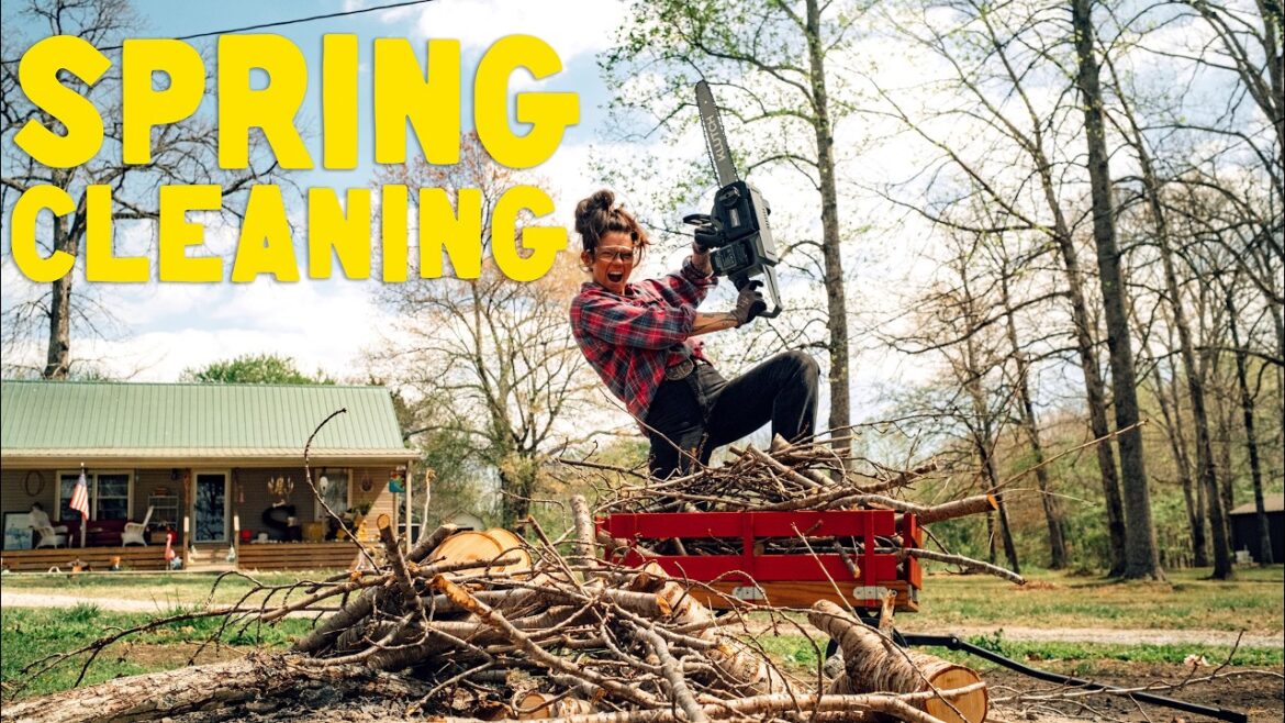 Spring Cleaning Gone Wild!