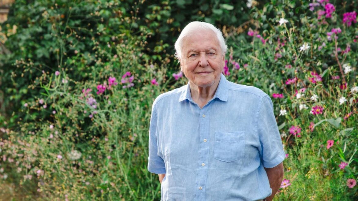 David Attenborough’s Secret Garden leaves BBC viewers stunned Birmingham Live