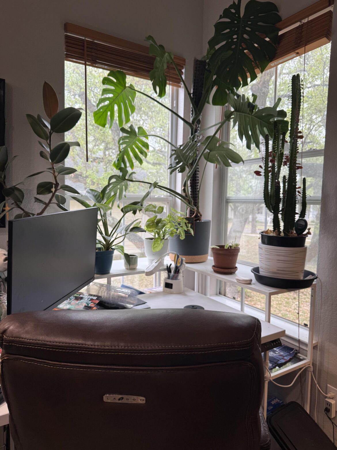 Office View