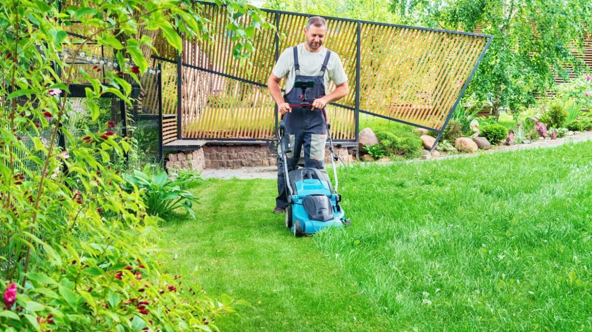 Gardeners praise ‘amazing’ moss killer that makes lawns green ‘in a week’ Manchester Evening News