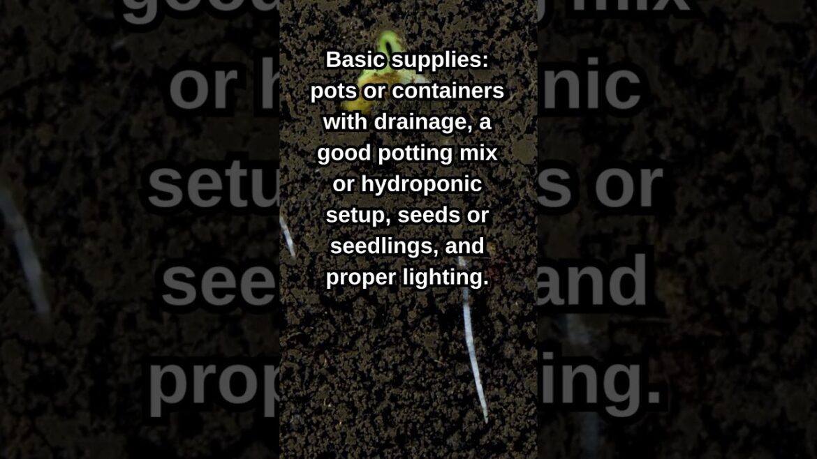 Must-Have Supplies for Indoor Gardening! #prepping #indoorgardening