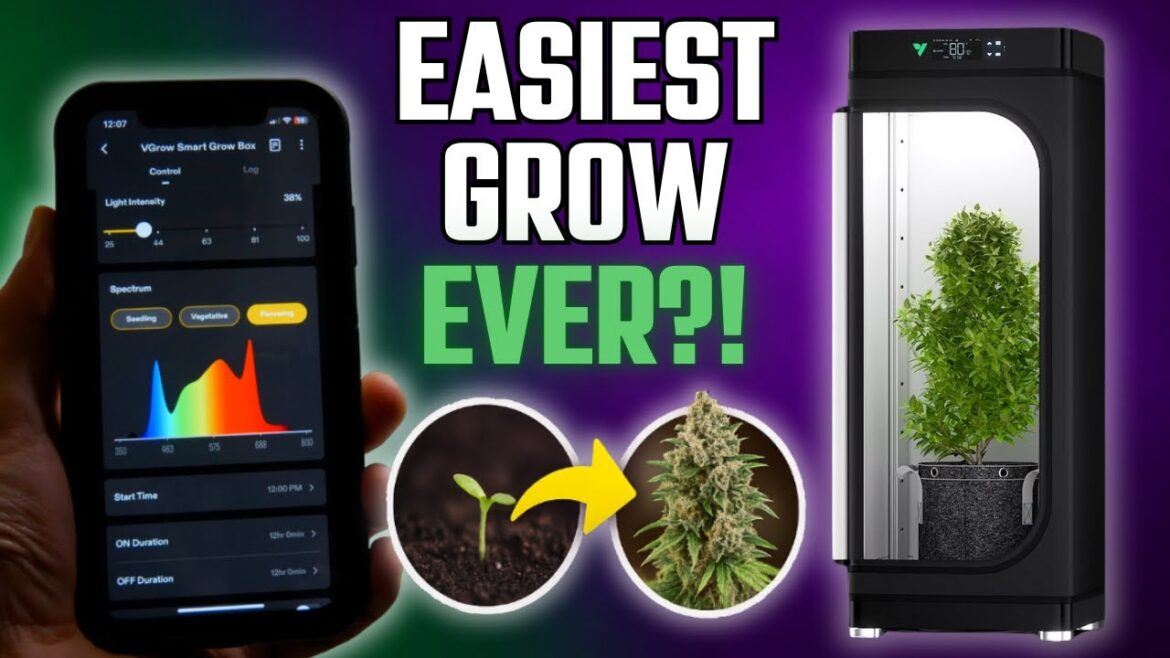 Seed to Harvest in a Fully Automated Smart Grow Box (VGrow Test) Seed to Harvest in a Fully Automated Smart Grow Box (VGrow Test)