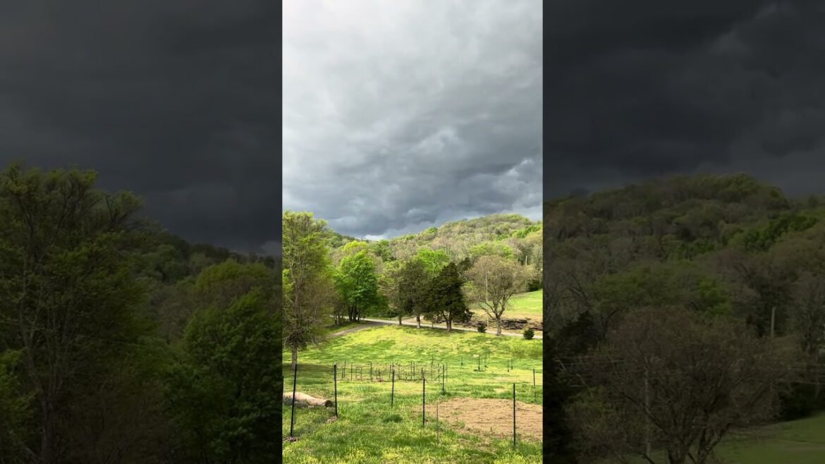 Storm coming!