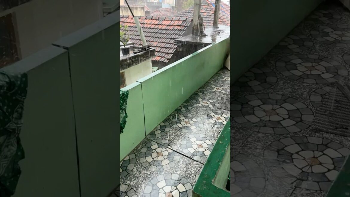Sudden Rain Ruined My Garden Plans! | Day Vlog