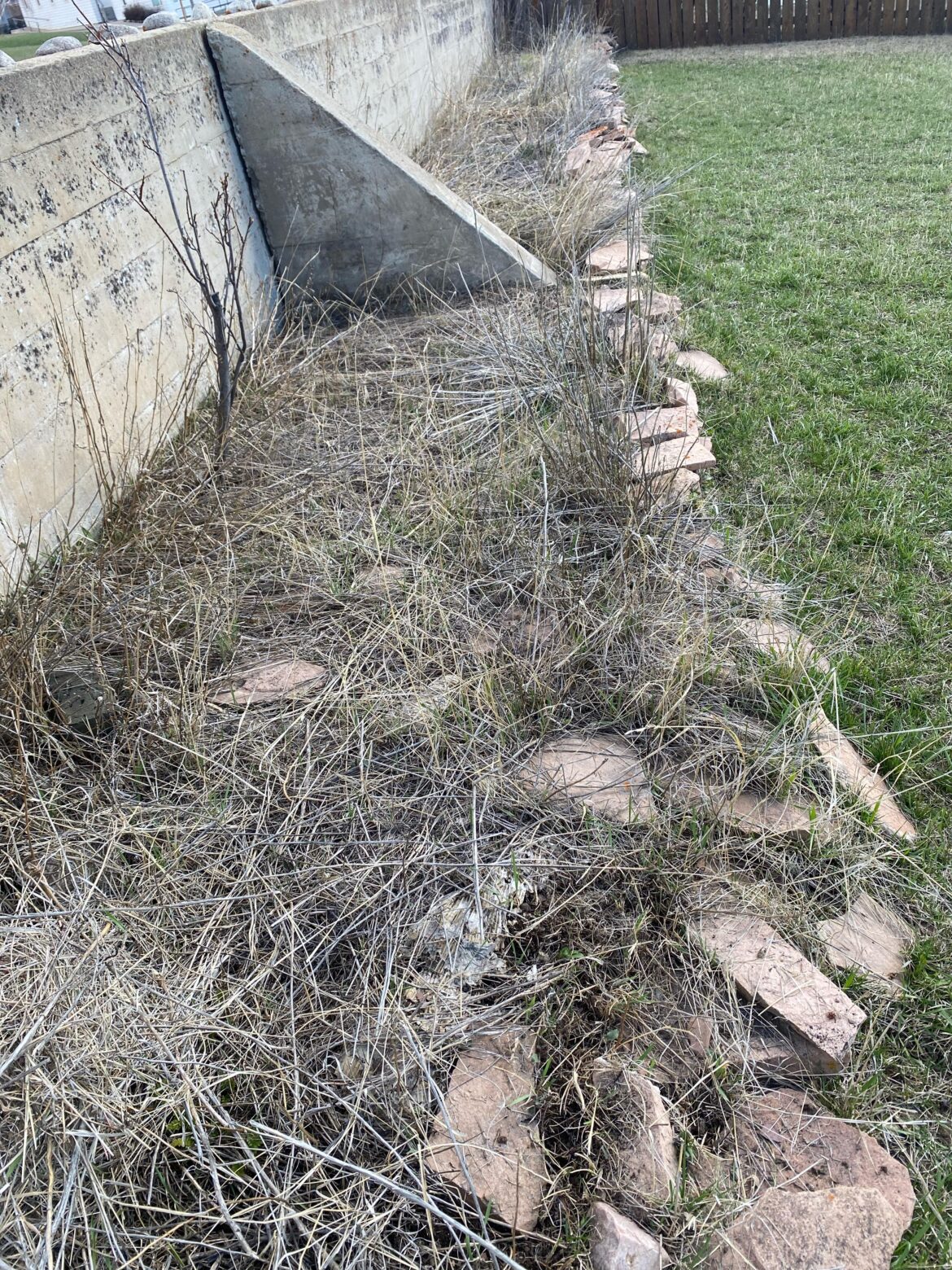Attempting to clean up these beds (southwest Montana, zone 4a), and have no idea where to even start…it’s a lot of native wildflowers, grasses, plus some peonies…and the beds are about 4’6” wide and 75’ long…any advice?
