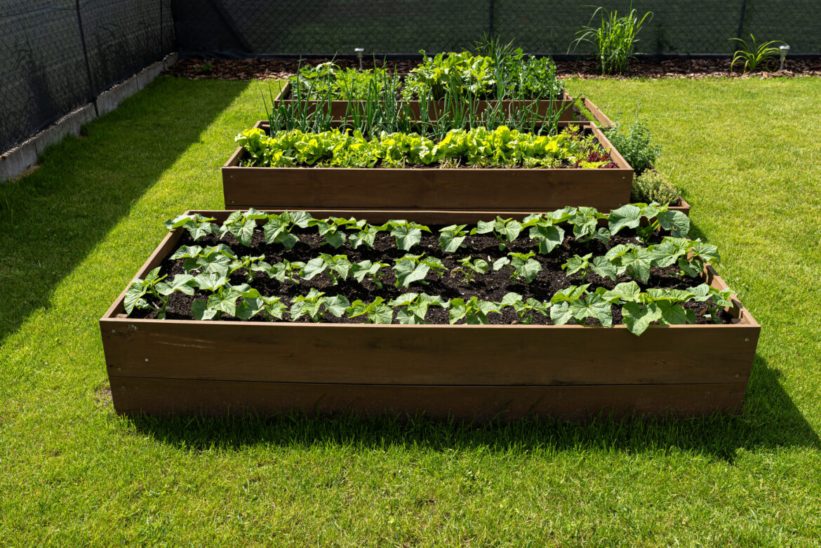 Peninsula gardening in April: Build DIY raised beds and more