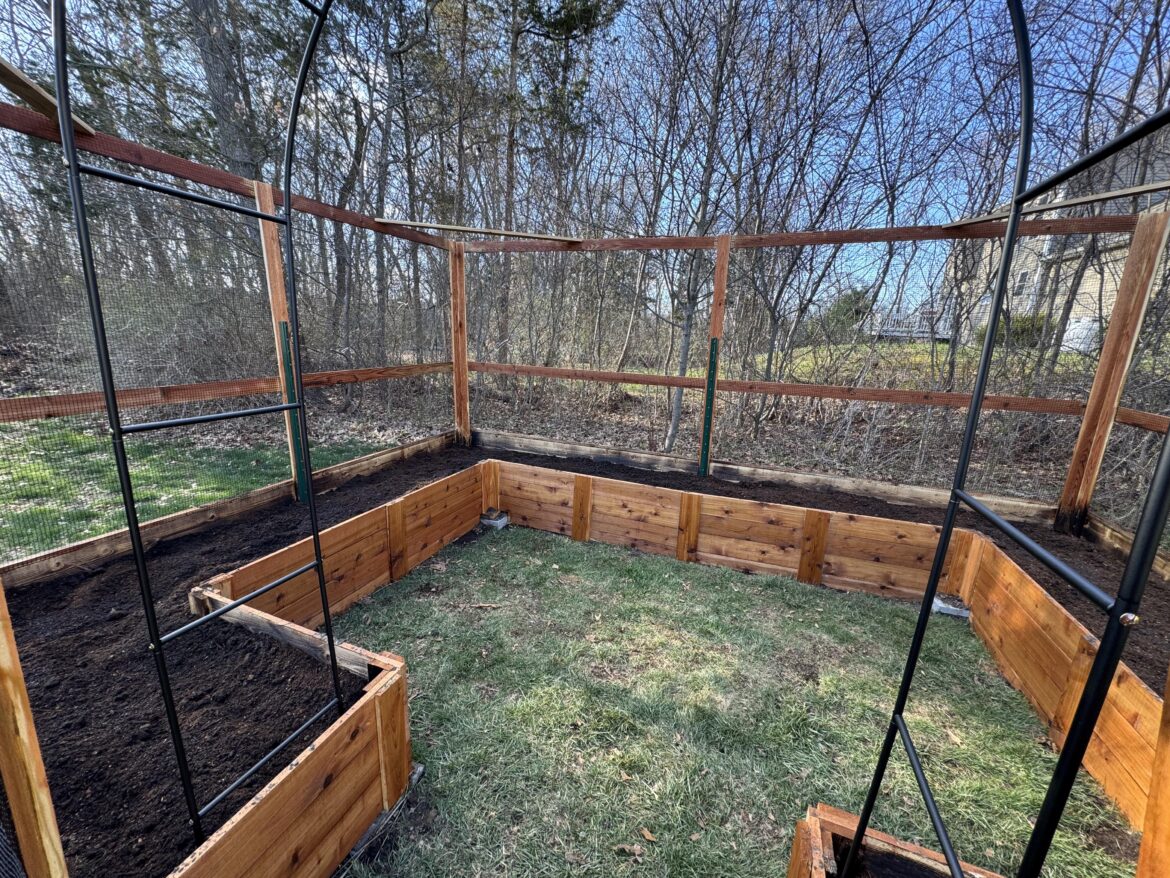 Should I cover crop?