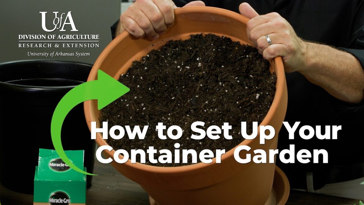 How to Setup Your Container Garden