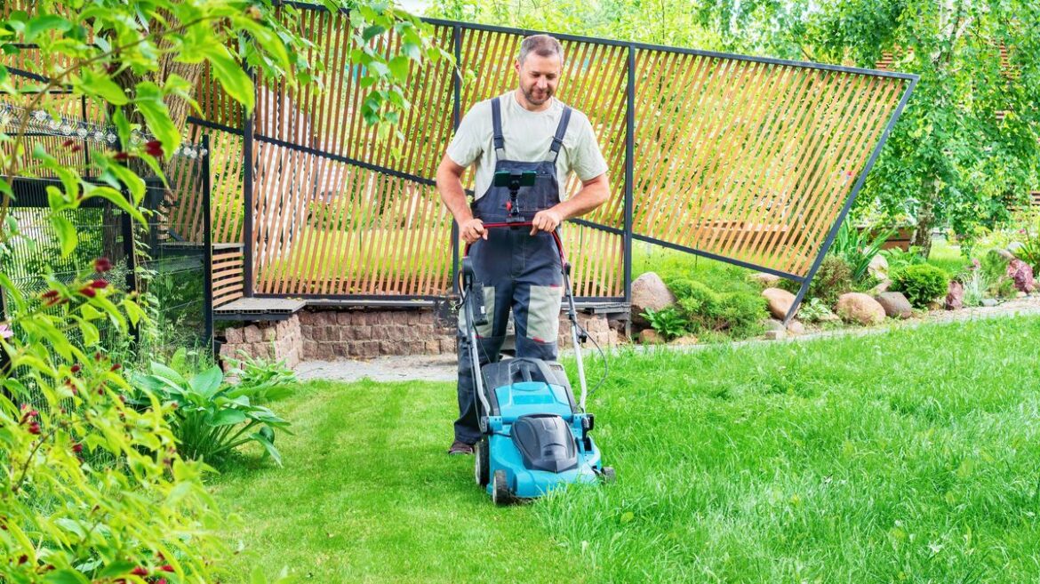 Gardeners rave over ‘amazing’ moss killer that makes lawns green ‘in a week’ Belfast Live